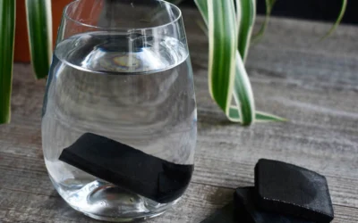 3 Ways Kishu Charcoal Filters Are Eco-friendly and Excellent for the Environment